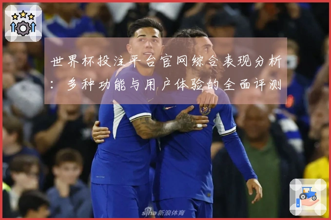 世界杯投注平台官网综合表现分析：多种功能与用户体验的全面评测