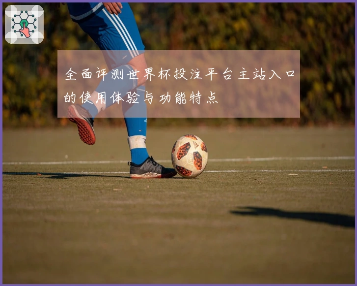 全面评测世界杯投注平台主站入口的使用体验与功能特点