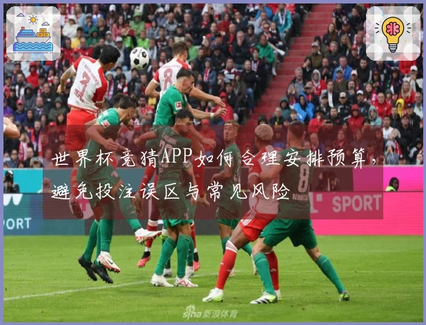 世界杯竞猜APP如何合理安排预算,避免投注误区与常见风险