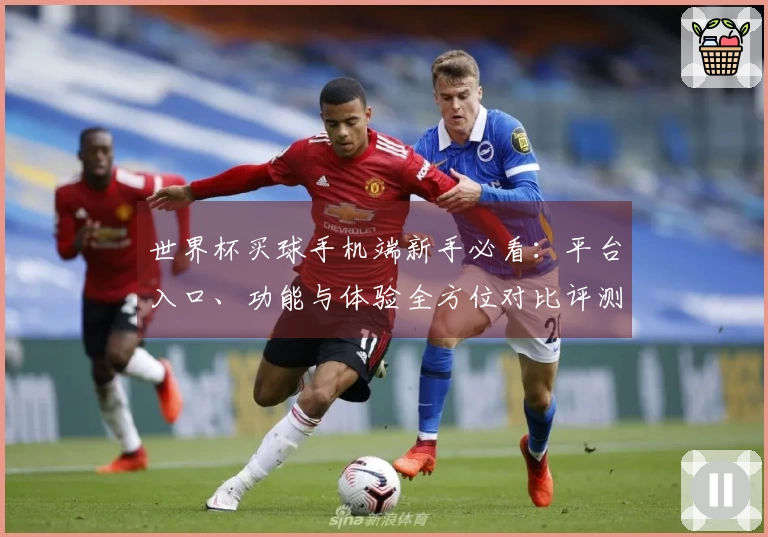 世界杯买球手机端新手必看:平台入口、功能与体验全方位对比评测