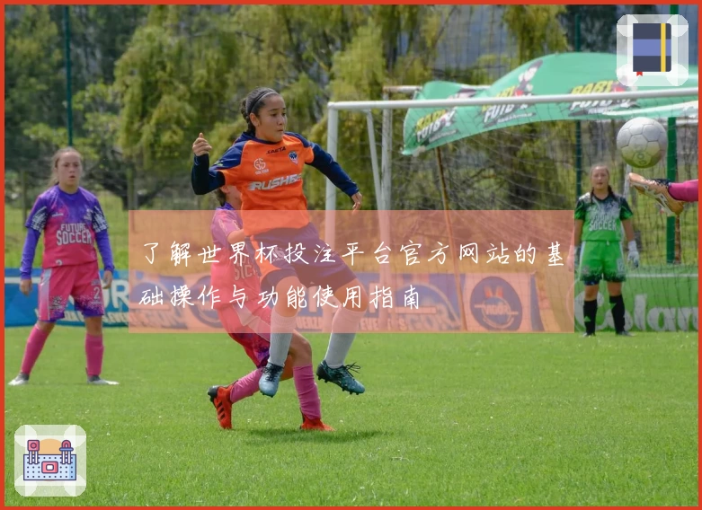 了解世界杯投注平台官方网站的基础操作与功能使用指南