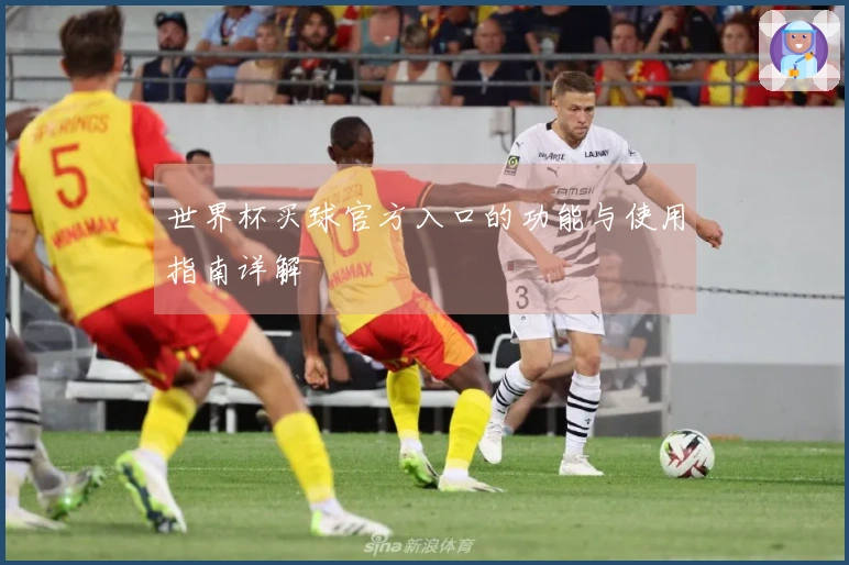 世界杯买球官方入口的功能与使用指南详解