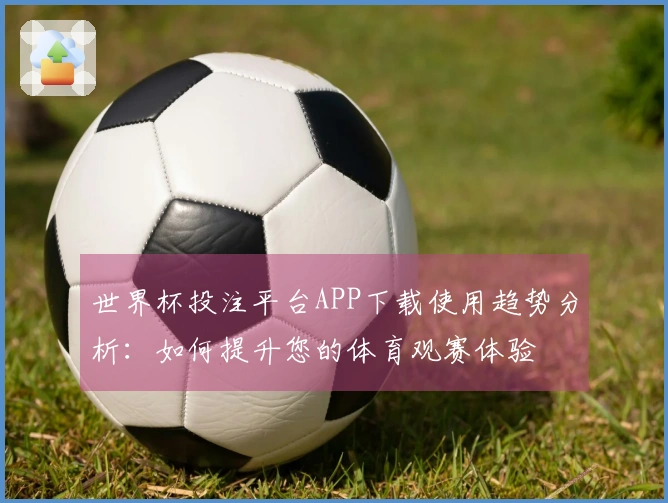 世界杯投注平台APP下载使用趋势分析：如何提升您的体育观赛体验