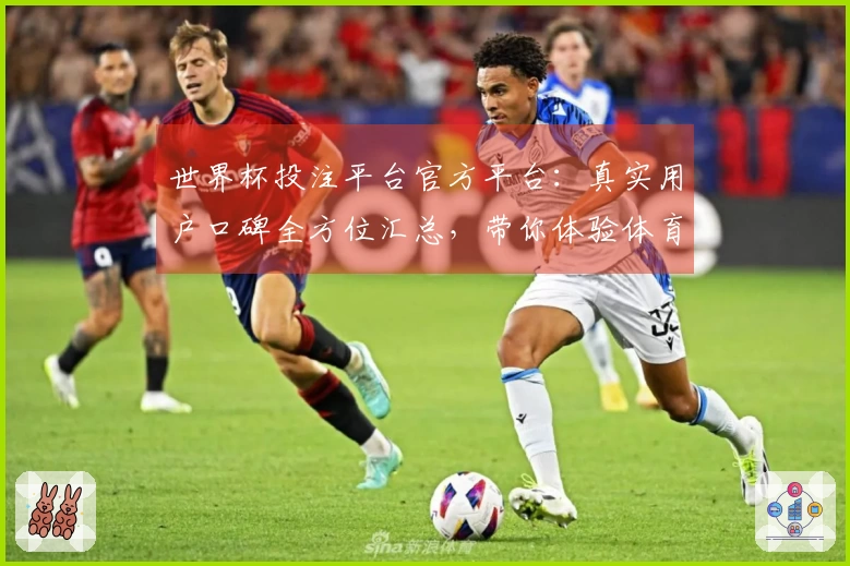 世界杯投注平台官方平台：真实用户口碑全方位汇总，带你体验体育观赛新维度