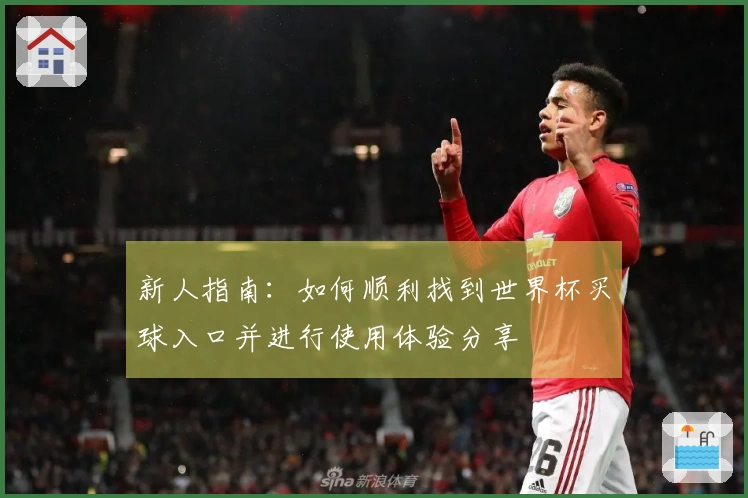 新人指南：如何顺利找到世界杯买球入口并进行使用体验分享