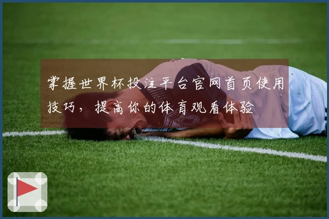 掌握世界杯投注平台官网首页使用技巧，提高你的体育观看体验