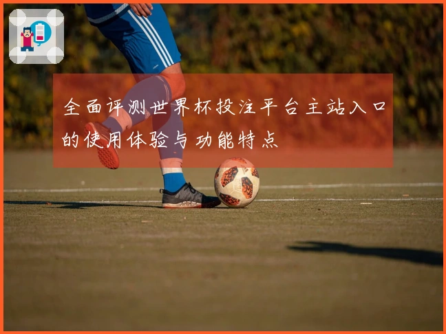 全面评测世界杯投注平台主站入口的使用体验与功能特点