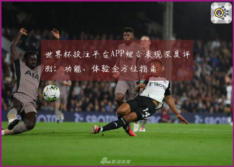 世界杯投注平台APP综合表现深度评测：功能、体验全方位指南