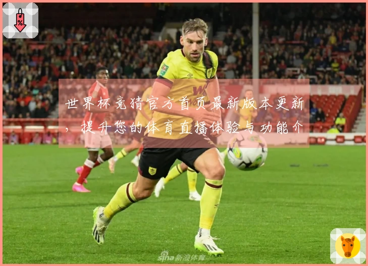 世界杯竞猜官方首页最新版本更新，提升您的体育直播体验与功能介绍