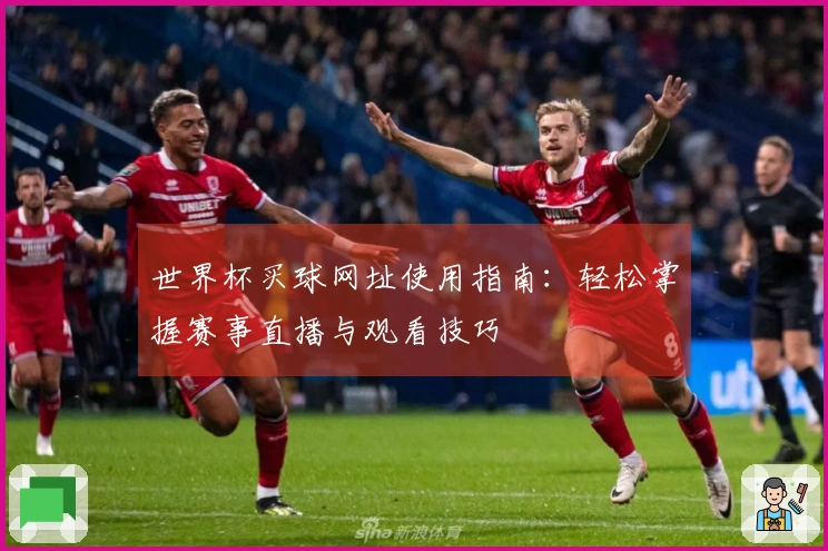 世界杯买球网址使用指南：轻松掌握赛事直播与观看技巧