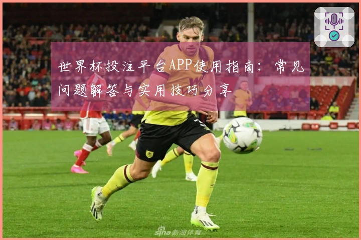 世界杯投注平台APP使用指南:常见问题解答与实用技巧分享