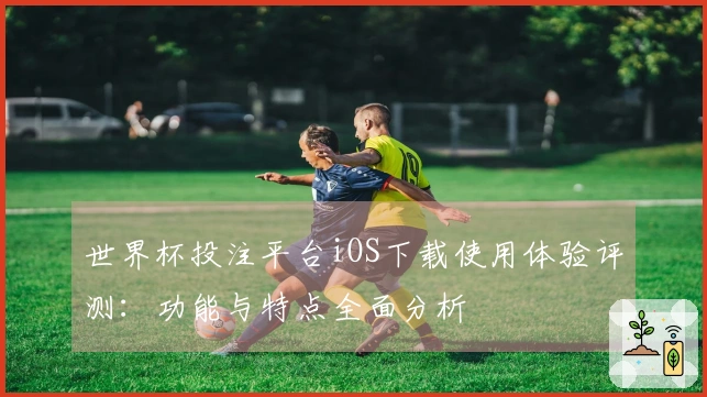 世界杯投注平台iOS下载使用体验评测：功能与特点全面分析