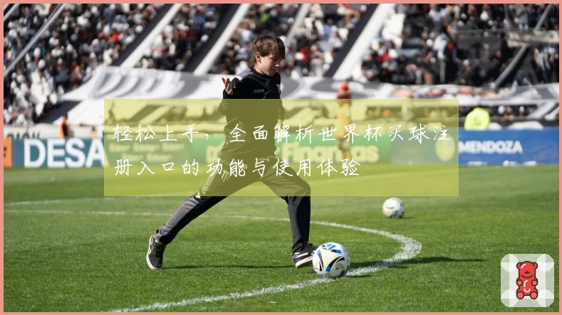 轻松上手，全面解析世界杯买球注册入口的功能与使用体验