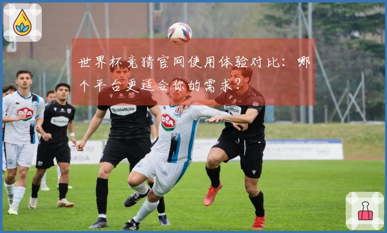 世界杯竞猜官网使用体验对比：哪个平台更适合你的需求？